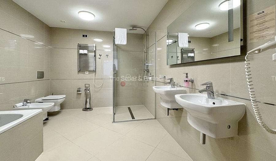 Penthouse generos cu priveliste spre Masivul Postavarul - 12