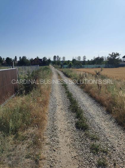 Ciolpani - spre Izvorani, str.Mihail Manolescu- 1500 mp - 7