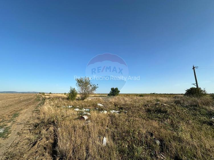 Teren extravilan de vanzare - 19.963 mp, E68 Mandruloc-Vladimirescu - 4