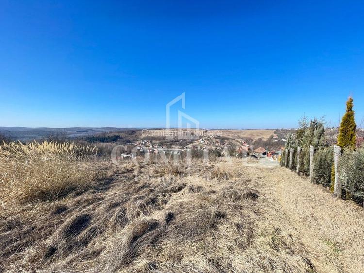 Teren cu potential de investitie 2430 mp si drum de acces - 2