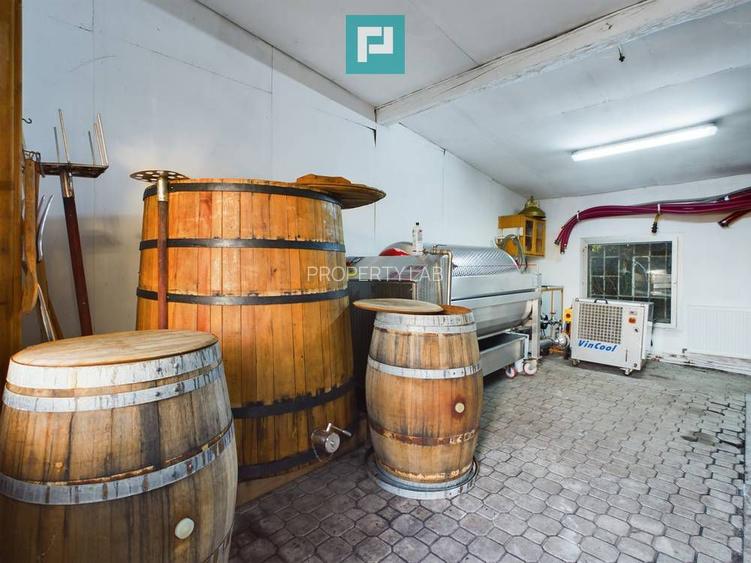 Pivnițele Birăuaș D.O.C Miniș - RATE FĂRĂ DOBÂNDĂ - 23