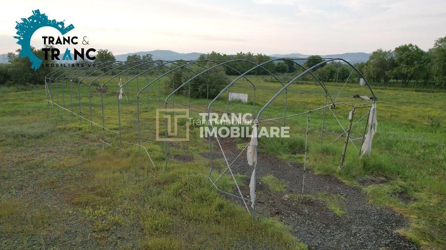 COMISION 0% Hala noua de 317 m2, intr-o zona feerica, in Ususau - 6