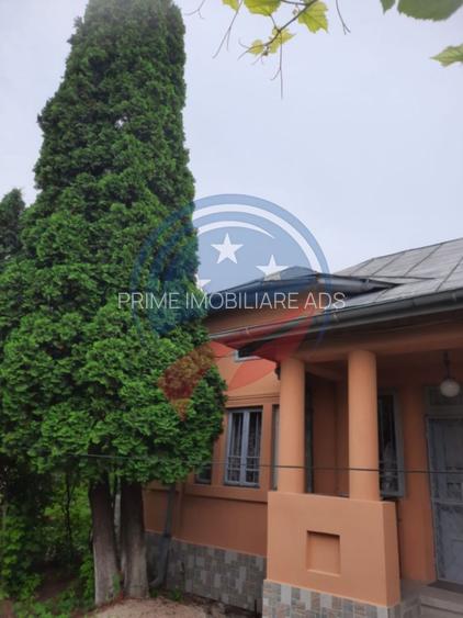 Casa de vanzare/Balcesti/Valcea/Str Pietii - 11