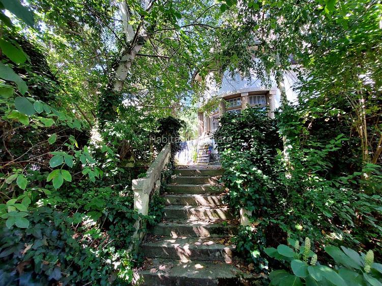 Vila impozanta  intr-o zona deosebita cu 1.440 mp teren - 5