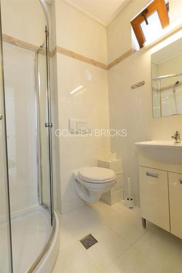 Piata Victoriei | Parter si etaj in vila | Garaj | 160mp - 15