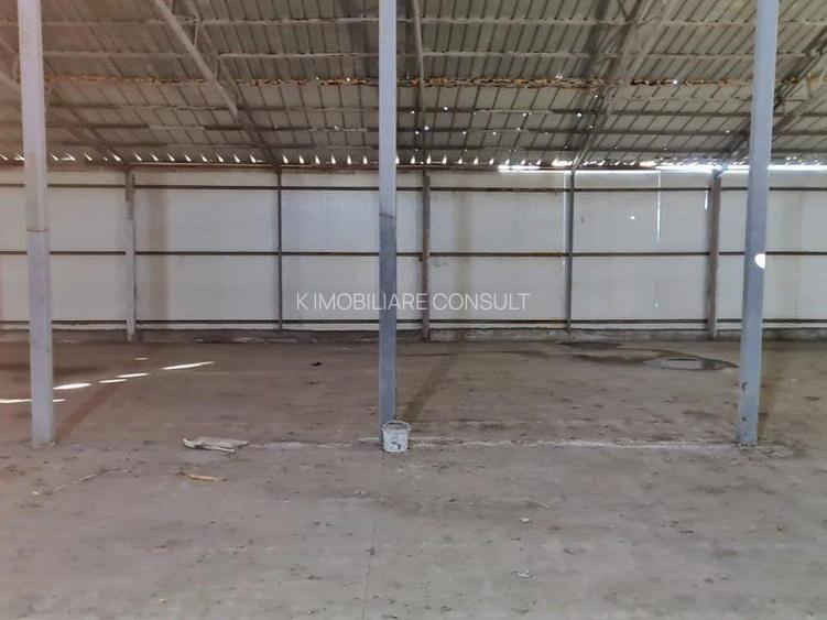 Sinesti -hala productie depozitare suprafata 1350 mp - 6
