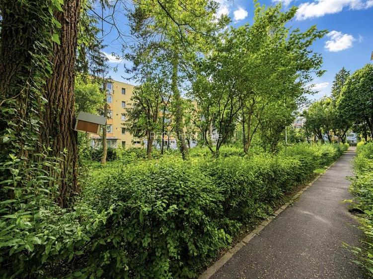 Apartament cu 2 camere in zona Gemenii de inchiriat - 12