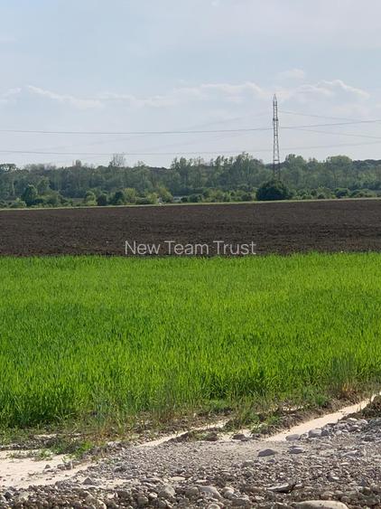 Sos de Centura Pantelimon Vanzare Teren 3,5 HA si 1, 1 HA - Cernica  25400MP - 12