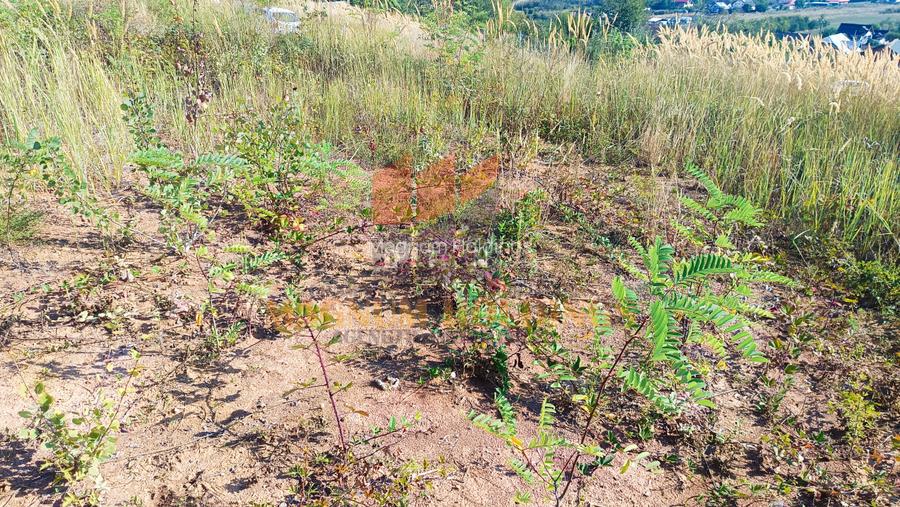 Teren cu autorizatie si proiect de construire, utilitati, Smeura - 5