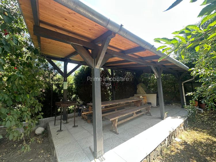 Casa individuala 7 camere, 388mp, zona Sebes - 10