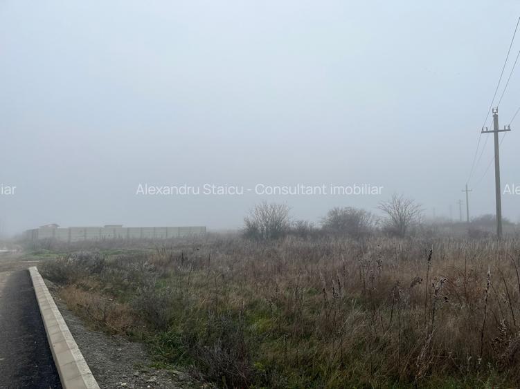Terenuri intravilane | Loturi de case | Săbăreni – Cintezoiului - 0% comision - 4
