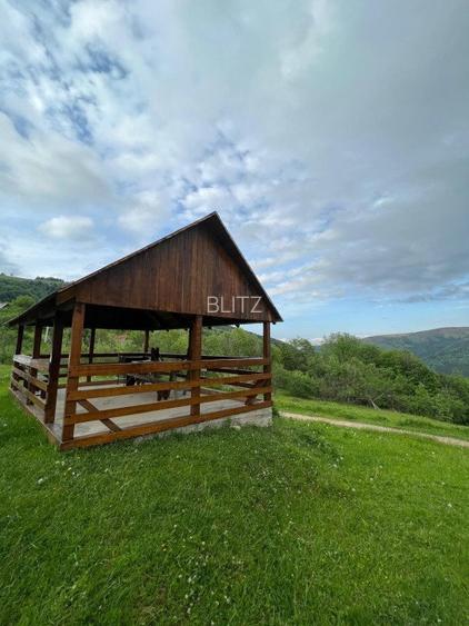 Cabana de 210mp, 2600 mp teren, in Rachitele - 11