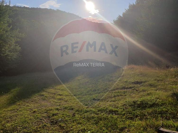 Poiană pentru cabana de vanzare intravilan Coas - 8