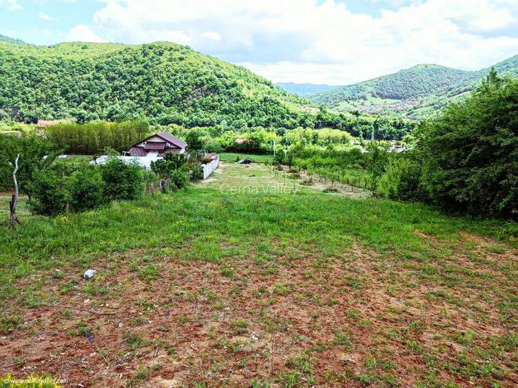 Vand teren intravilan Orsova - 5
