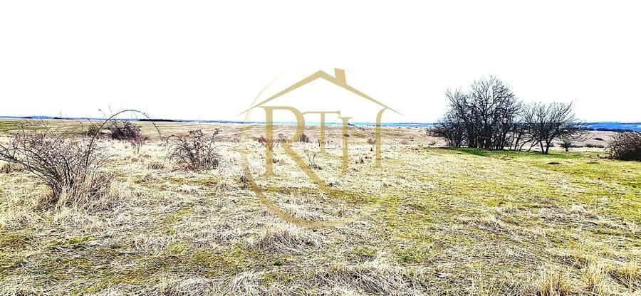 Terenuri extravilane de vânzare – Vizma & Crivobara, comuna Secaș, jud. Timiș - 14