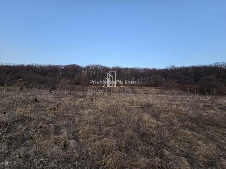 Teren extravilan 28.800 Mp , zona Rora, Sighisoara - 4