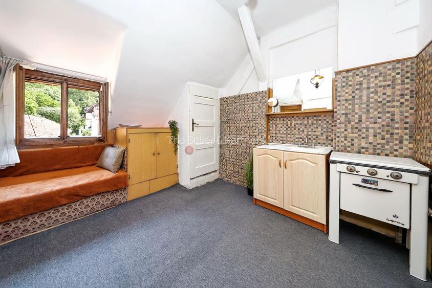 Zona Centrala Structura Generoasa - 31