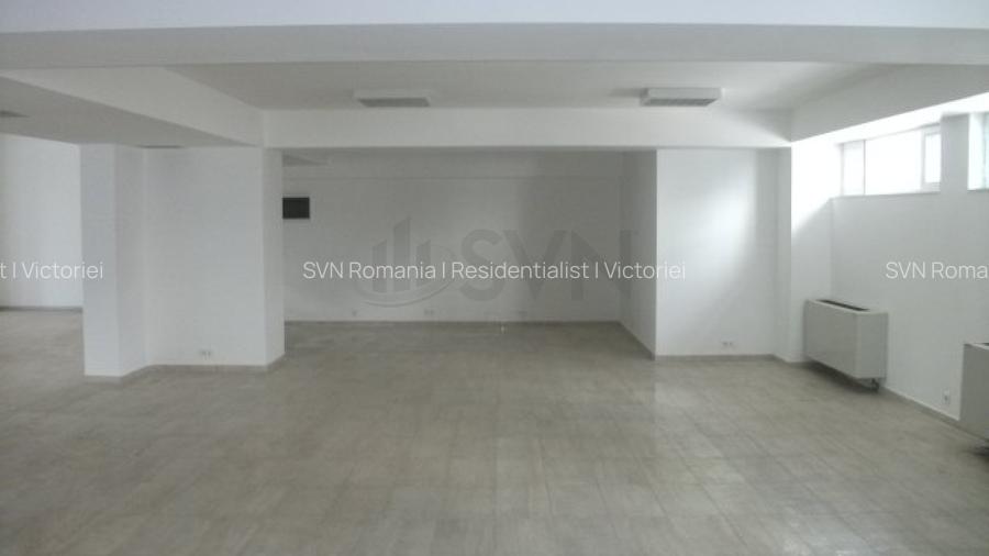 REC0001741 Spatiu Comercial Piata Victoriei - Titulescu - 13