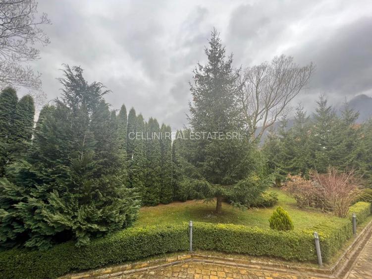 Vila de vis cu parc privat  — Panoramă Unică Spre Crucea Caraiman, - 27