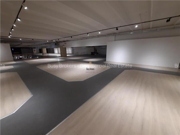 Spatii Comerciale - 500 mp - Showroom - Comert - 12