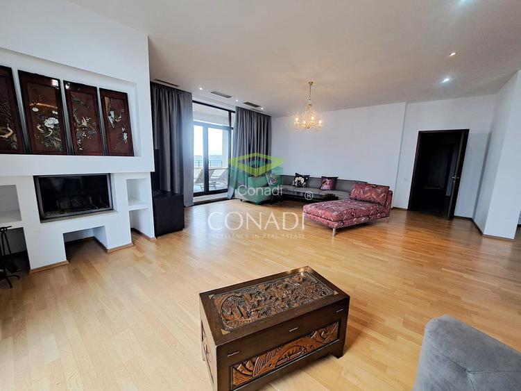 Baneasa-Iancu Nicolae, penthouse de inchiriat, mobilat si utilat - 2