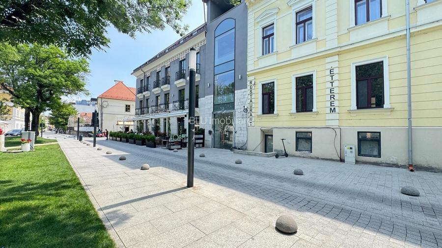 SPAȚIU PENTRU COFFEE SHOP DE VIS - PALATUL MIKES - PIAȚA MUZEULUI - 3