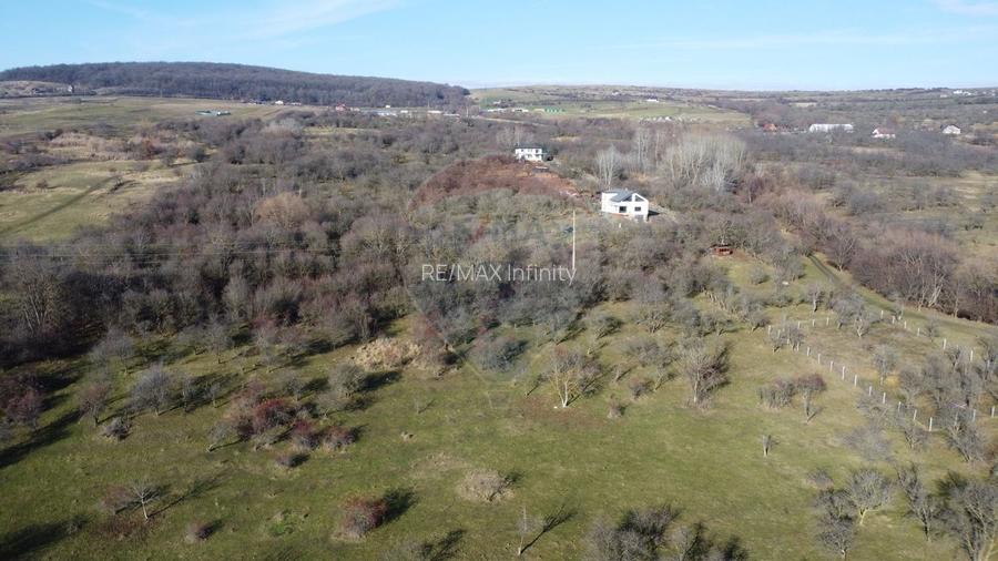 Teren 20.146 mp Dâmbu Rotund (Lomb).Extravilan.Potențial rezidențial - 8