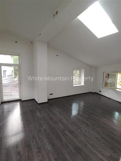 Spatiu comercial 300 mp, inchiriere/vanzare, Eminescu - 10