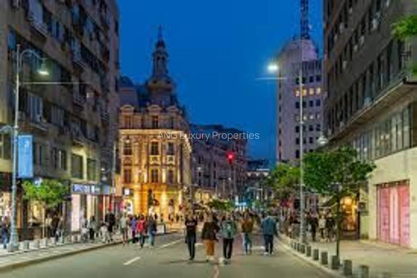 SPATIU DE INCHIRIAT CU VAD CALEA VICTORIEI - 3