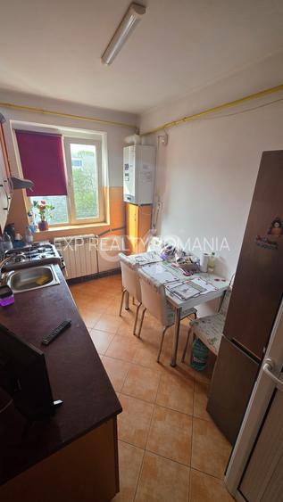 Vanzare apartament 2 camere Trivale - 5