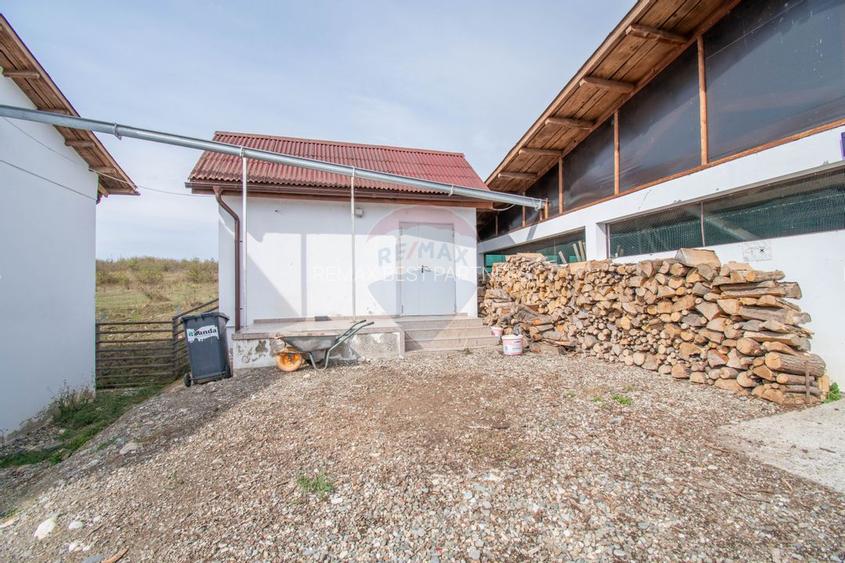 Ferma moderna de porci de vanzare in Curtuiusu Dejului - 24