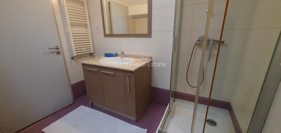 Inchiriere vila moderna Iancu Nicolae - 32