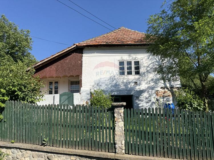 Casă de vânzare in natura la tara - Mihaesti - 29