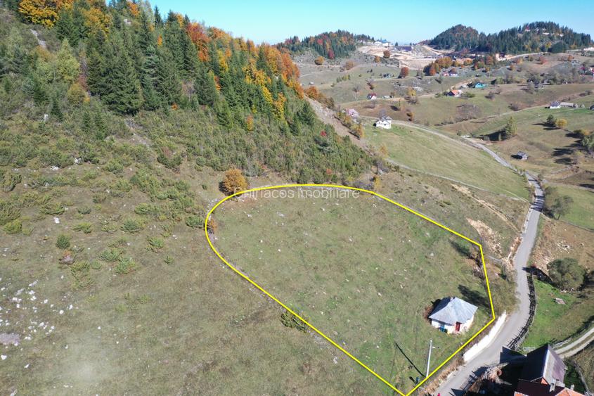 Teren la munte cu oportunitate de  investitie - 4