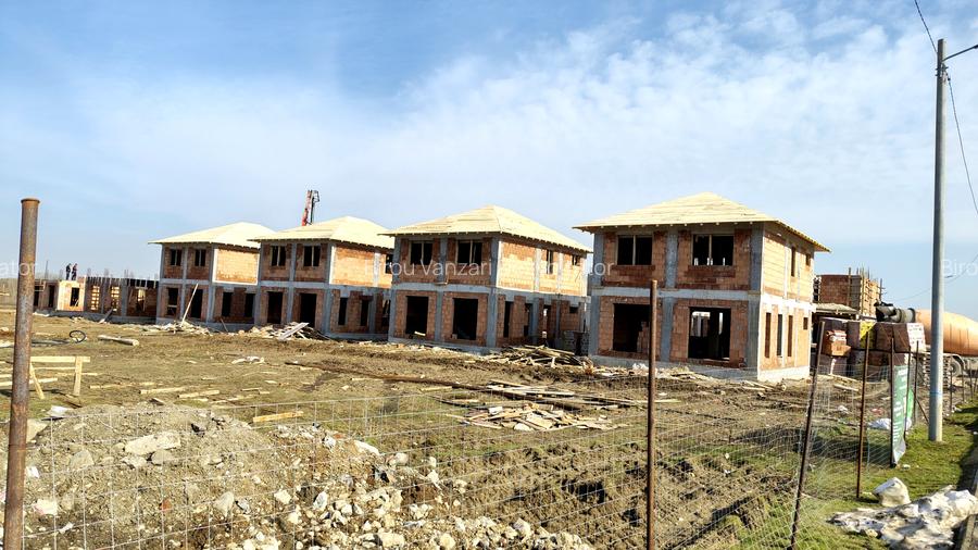 Vile individuale padurea Rosu - 6