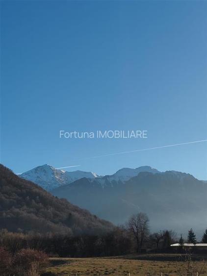 Casa De Vacanta P+M Rasnov Zona Glajarie Najila - 4