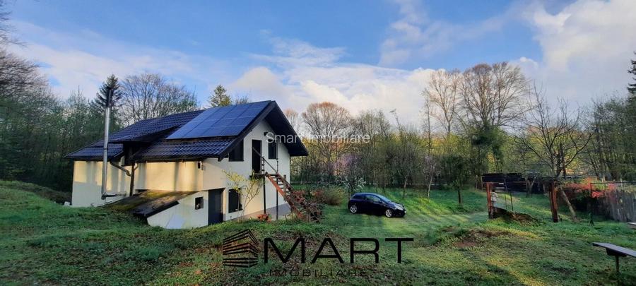 Cabana 4 camere zona Valea Avrigului - 5