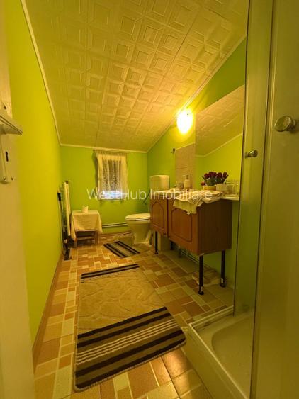 Apartament spatios, 3 camere, cu boxa pentru depozitare si gradina - Iosefin - 6