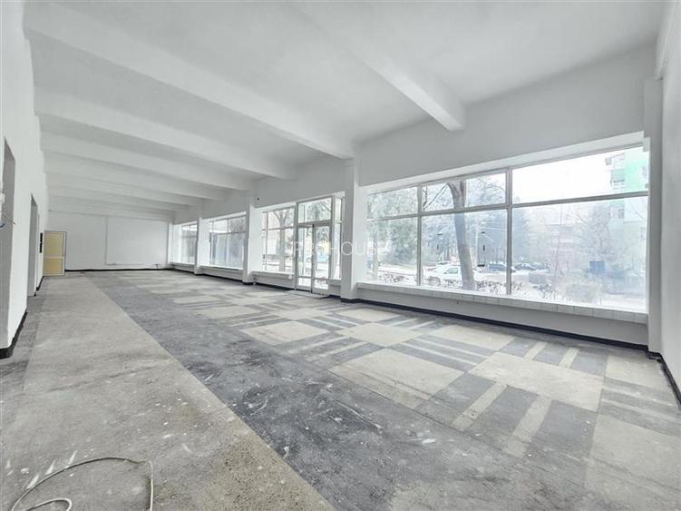 Spatiu Comercial, 250mp, Narcisa-ONIX - 6