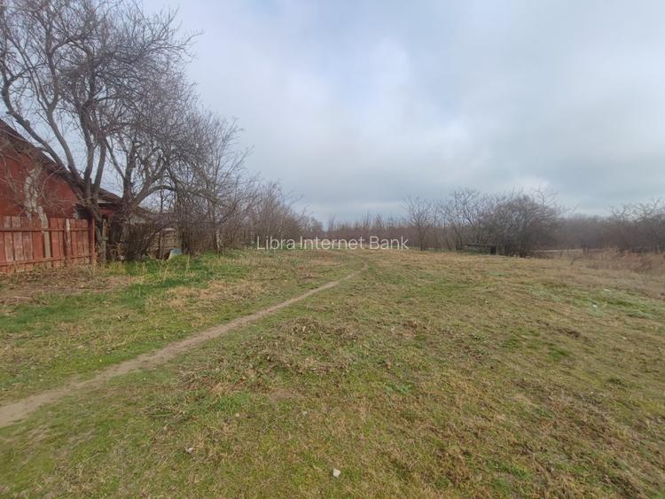 Teren intravilan Valcelele Jud Calarasi - 2