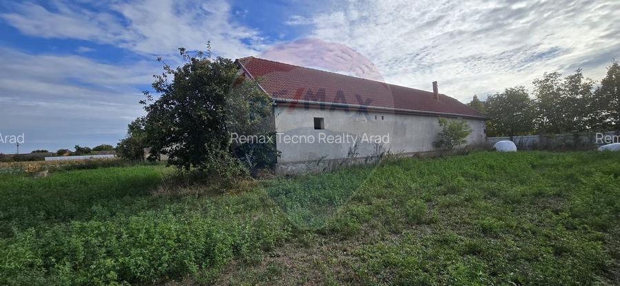 Teren si casă cu teren generos în Socodor - 18