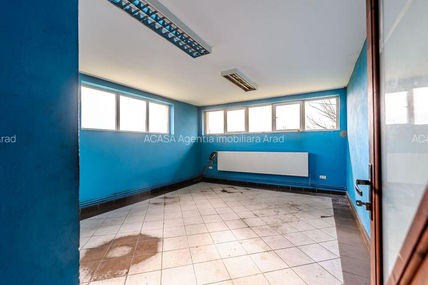 Hala industrială cu teren 10.495 mp – potențial supermarket, Lipova - 9