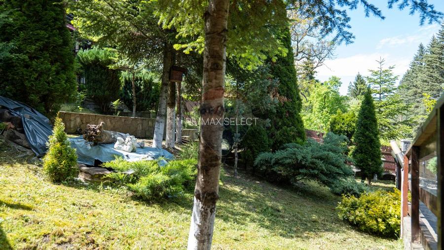 Vanzare casa de vacanta, Slanic Prahova - 54