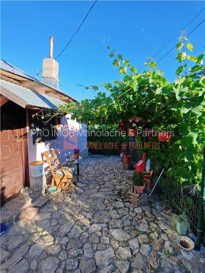 EXCLUSIVITATE! Casa+teren si cabana de lemn zona Naeni - 14