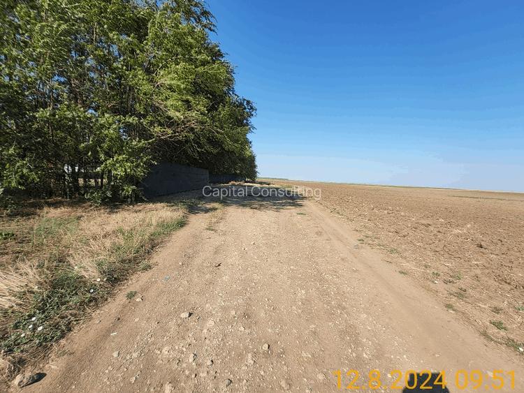 70 loturi drum in curs de asfaltare piscina utilitati partial amenajat - 7