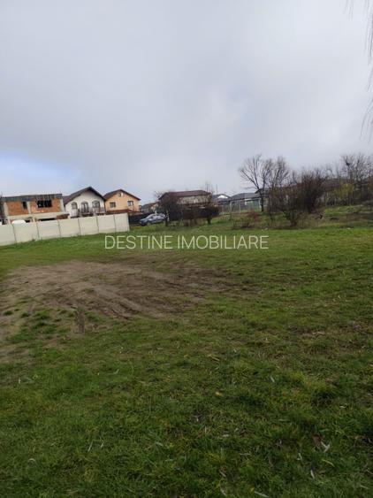 TEREN DE VANZARE DOMNESTI, 600 mp - 2