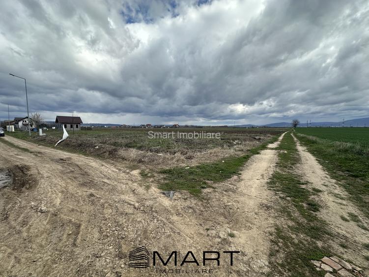 Teren intravilan 520 mp Harman - 2