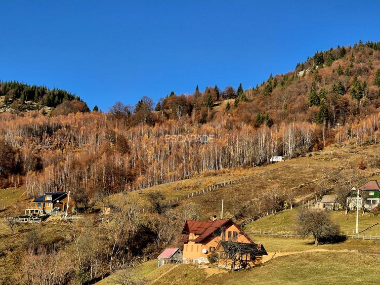 Teren de vânzare în sat Măgura/ Brasov– loc pentru familie, liniște și suflet - 6