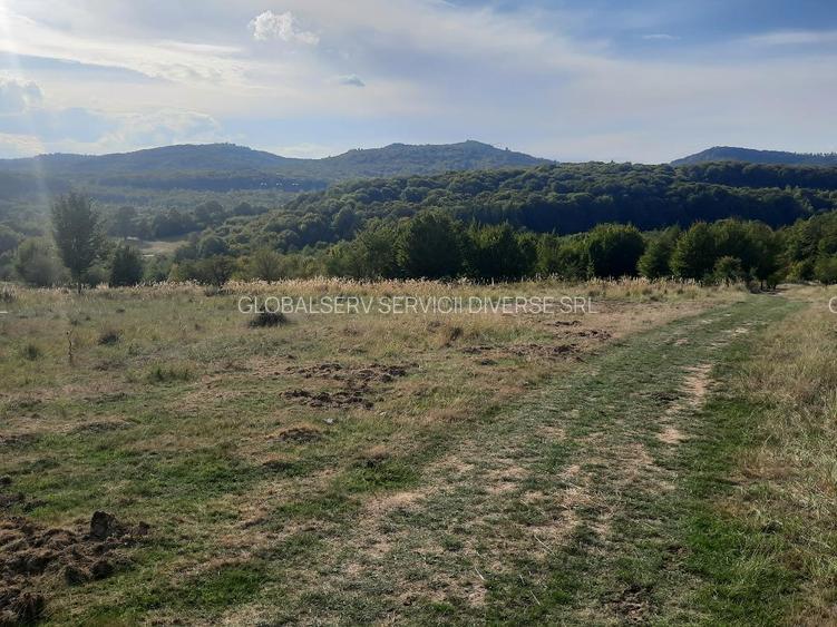 FARA COMISIOANE TEREN parcelabil 10756mp linga padure Comuna Dumbravita Brasov - 4