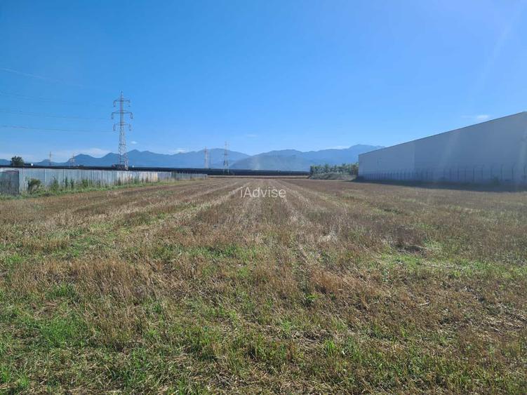 Teren industrial Stupini - 5